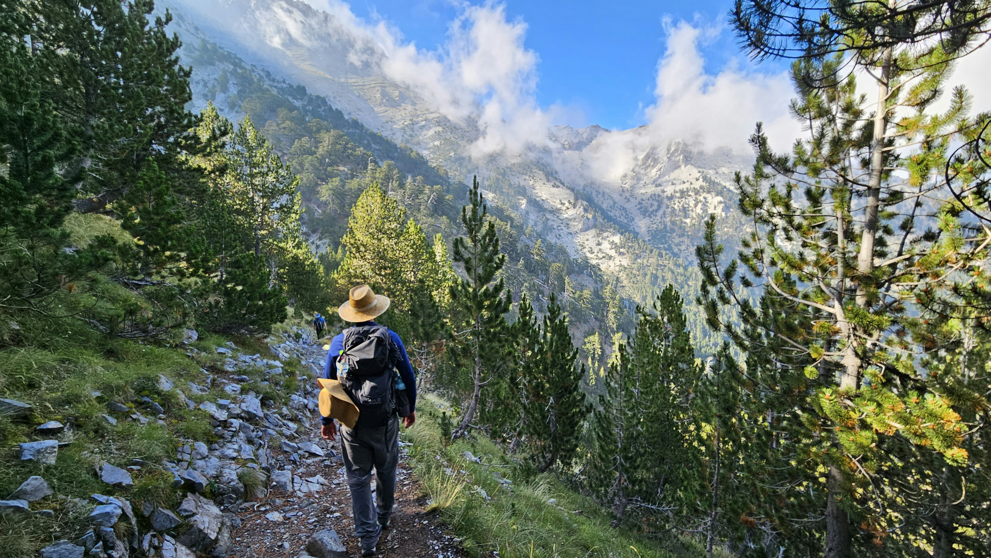 A hiker on a mountain trail surrounded by pine trees and peaks